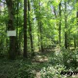 korzen.rz14.km001.jpg