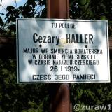 c.haller20.zur003.jpg