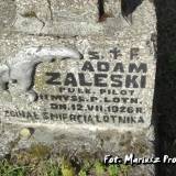 Płk pil. Adam Zaleski był zastępcą dowódcy 11 pułku myśliwskiego....
